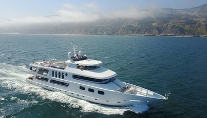 LEIGHT STAR For Sale image36