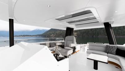 Crescent Lady For Sale image16