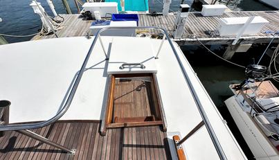 Tortuga Azul For Sale image24