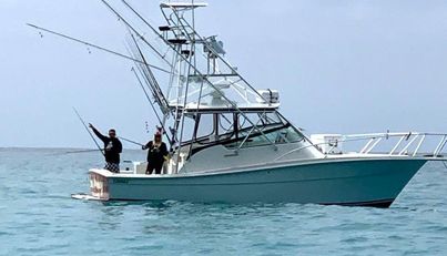 Beer Money For Sale image25