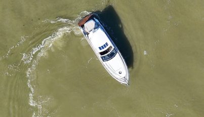 noname For Sale image78