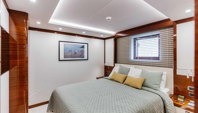 PAPILLON For Sale image11