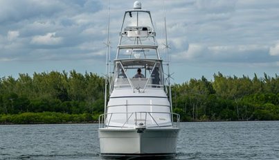 VET BILLZ For Sale image3