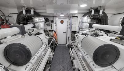 Live Mas For Sale image35