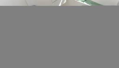 Commodore One For Sale image132