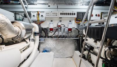 Tropical Dreamer For Sale image71