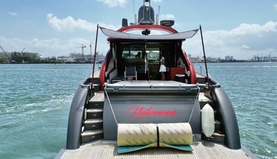 Notorius For Sale image11