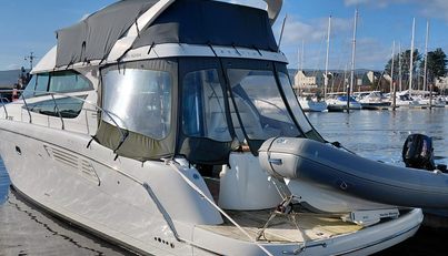 Dignity For Sale image6