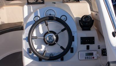 King Fisher For Sale image7