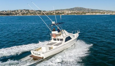 Patriot For Sale image25