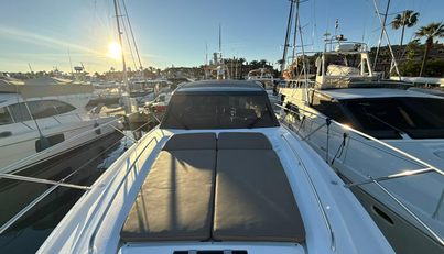 FEATHERS For Sale image8