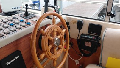 Sunniva For Sale image13
