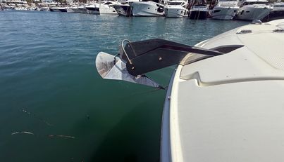 noname For Sale image12