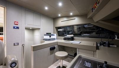 PHOENIX For Sale image29