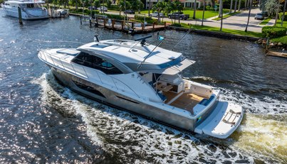 SAPPHIRE For Sale image12