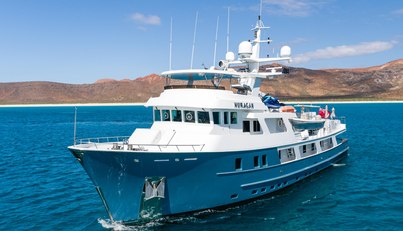 Huracan For Sale image5