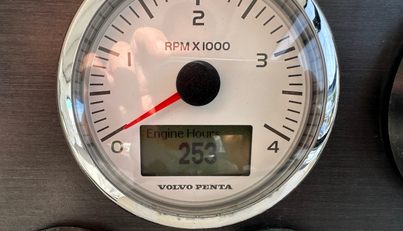 Moonlight Lady For Sale image22