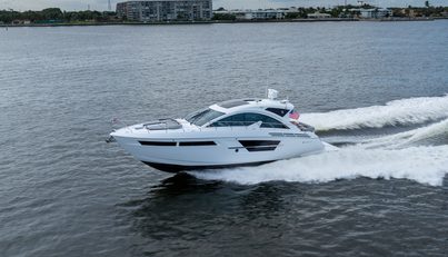 Tropical Dreamer For Sale image3