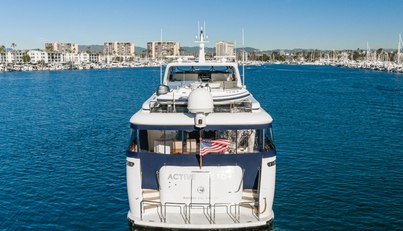 Active Octo For Sale image11