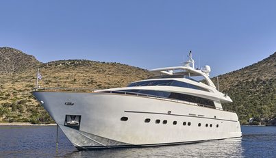 OASIS For Sale image36