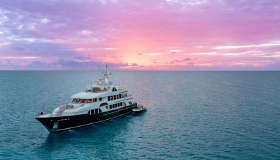 Shadowl For Sale image43