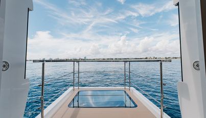 GOLDENEYE For Sale image14