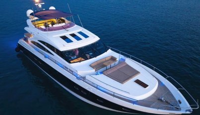 AGAVE For Sale image16