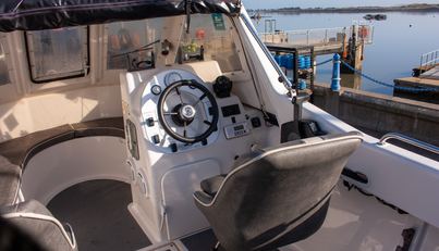 King Fisher For Sale image4