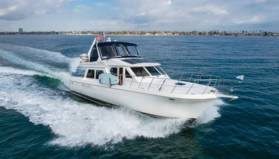 SILVIUS BRABO For Sale image14