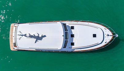 ISLAND GIRL III For Sale image37