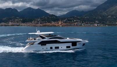 ANA For Sale image28