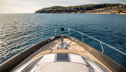 Wildone For Sale image31