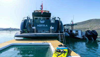 AQUILA For Sale image4