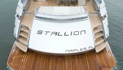 STALLION For Sale image25