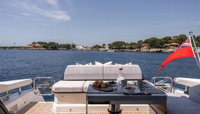 PREDATOR 55 For Sale image11