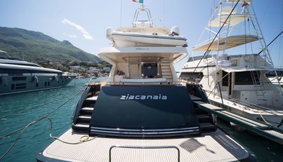 Zia Canaia For Sale image6