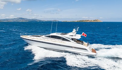 MILU II For Sale image31