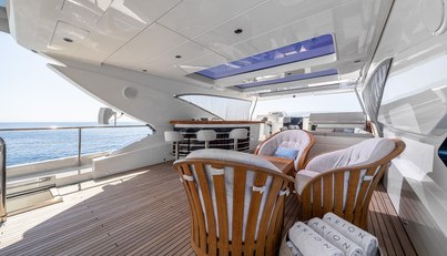 ARION For Sale image40