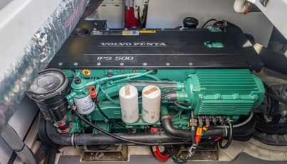 Bee's Knees For Sale image41