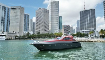 Notorius For Sale image7