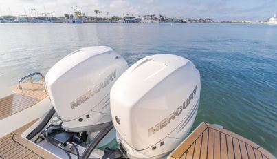 Intrepid For Sale image36