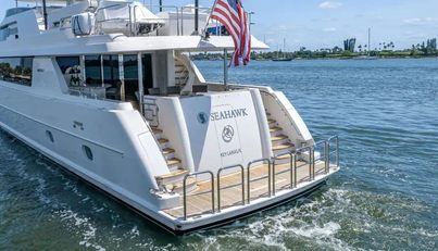 Seahawk For Sale image20