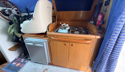 Moggy For Sale image5