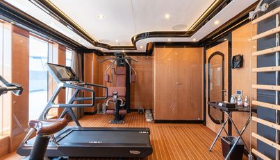 I DYNASTY For Sale image28