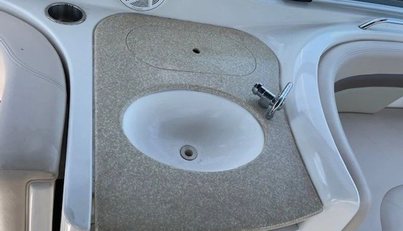 SEAHORSE For Sale image7