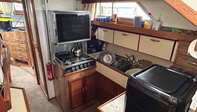 noname For Sale image6