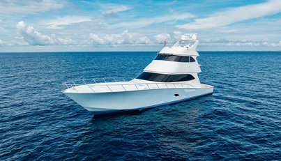 MODERATION For Sale image6