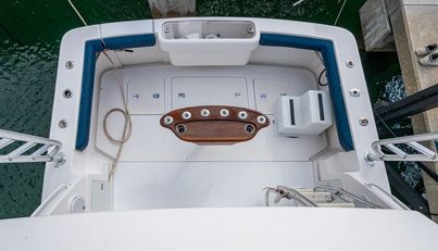 VET BILLZ For Sale image9