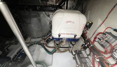 White Pearl For Sale image13