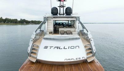 STALLION For Sale image8